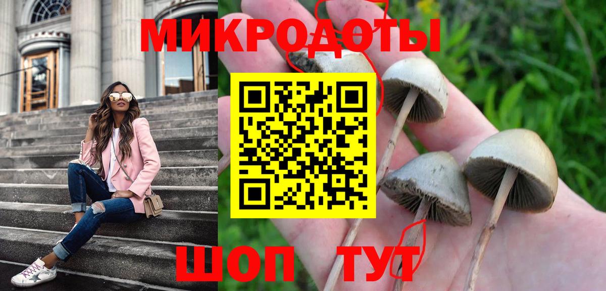 Смоленск  Псилоцибиновые грибы MAGIC MUSHROOMS  Вход с VPN 